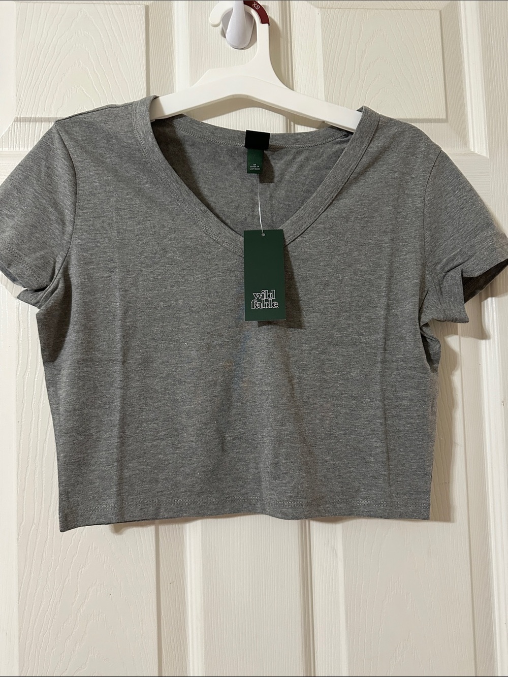 wild fable Gray V-Neck Cropped Tee Top